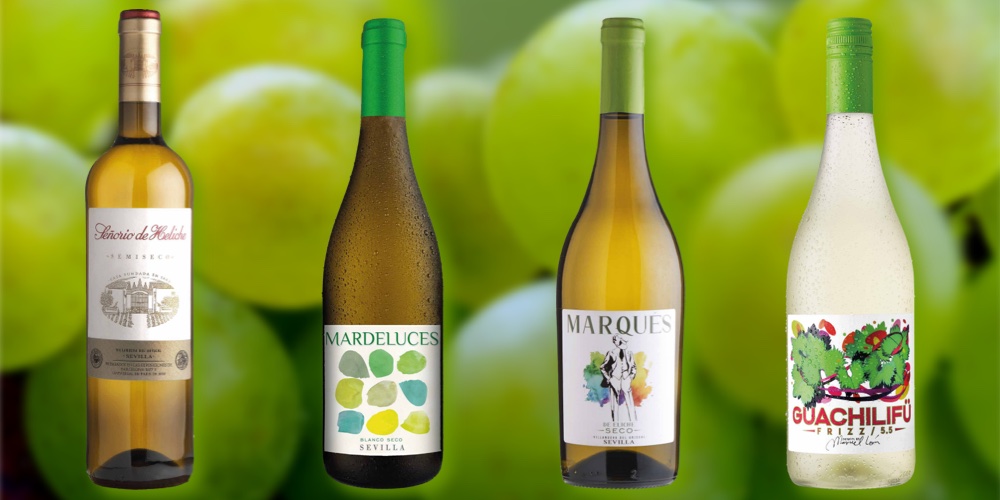 Vinos blancos Bodegas Góngora